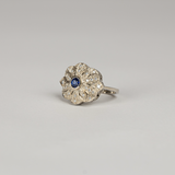ANILLO CASTAGNO