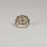 ANILLO CASTAGNO
