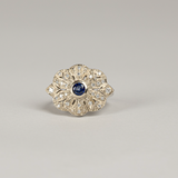 ANILLO CASTAGNO