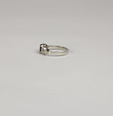 ANILLO ANGELIS