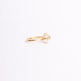 ANILLO POTERE