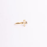 ANILLO POTERE