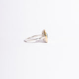 ANILLO ESSENZA