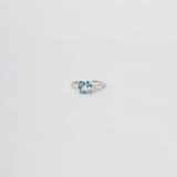 ANILLO VENTURINI