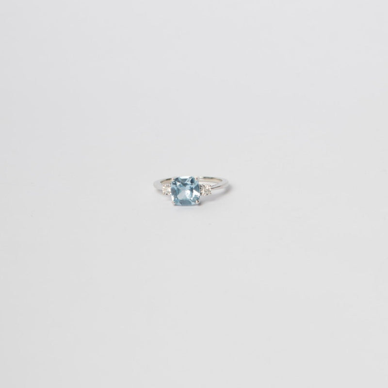 ANILLO VENTURINI