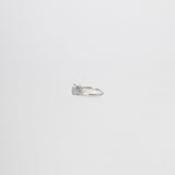 ANILLO VENTURINI