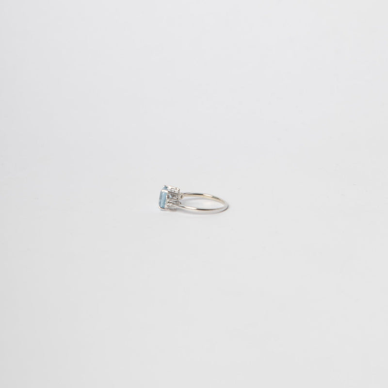ANILLO VENTURINI