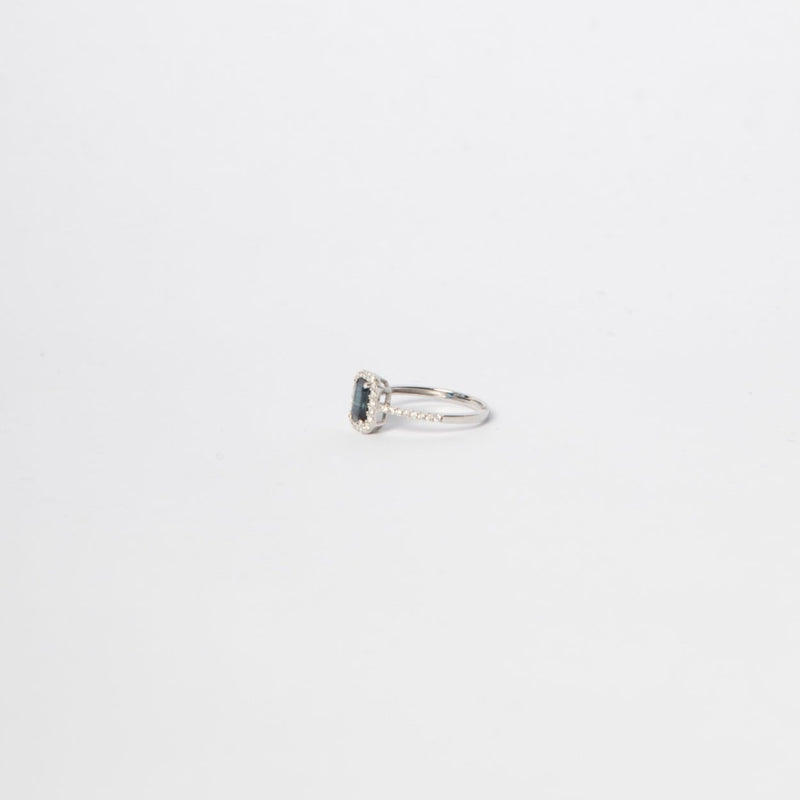 ANILLO MARCHETTI