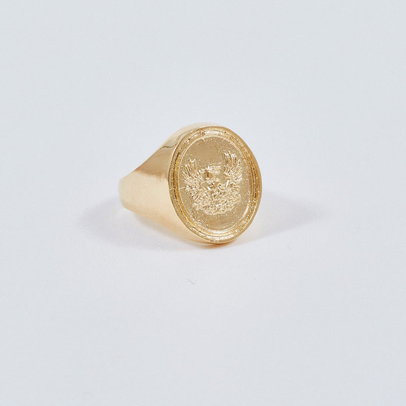 ANILLO FENICE BRILLO (5893457936549)
