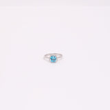 ANILLO SASSARI