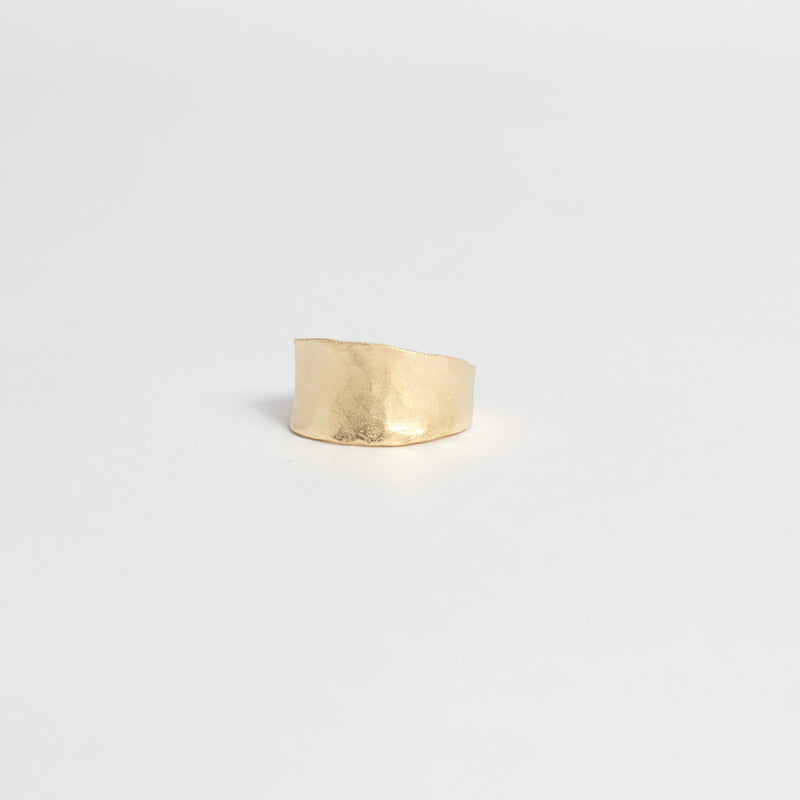 ANILLO PARODI ENCHAPADO EN ORO OPACO