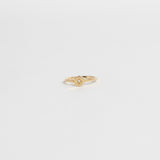 ANILLO SABATO