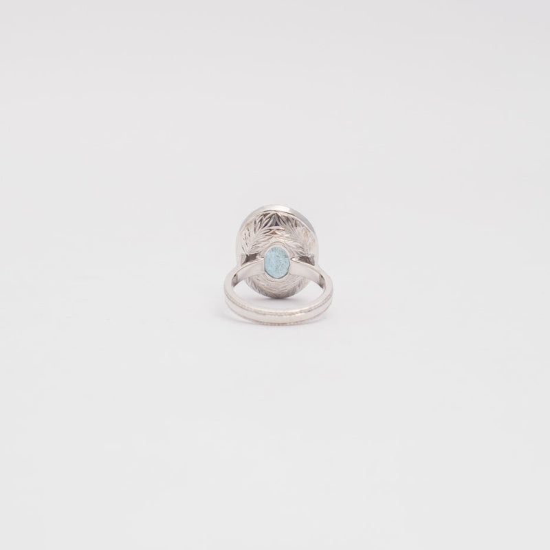 ANILLO ELISA