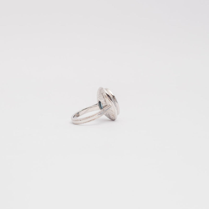 ANILLO ELISA