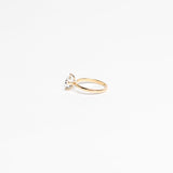 ANILLO POTERE