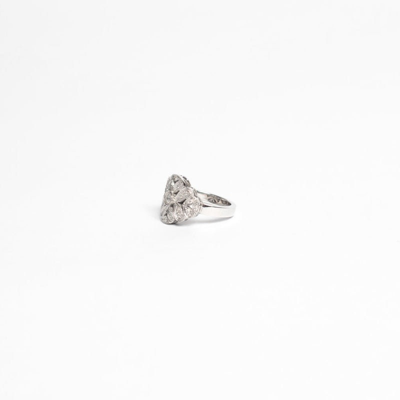 ANILLO MANAROLA