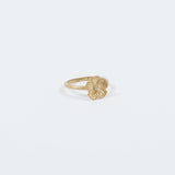 ANILLO VITO (5596746416293)