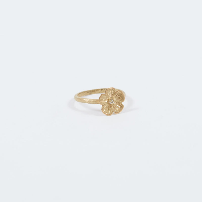 ANILLO VITO (5596746416293)